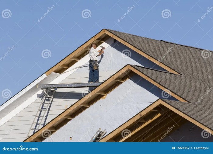 Vinyl Siding Installation 2 Stock Photo - Image of homes, labor: 1569352